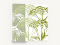 Green Umbel Silhouettes, green umbel flower silhouette botanical, floral canvas wall art print ready to hang