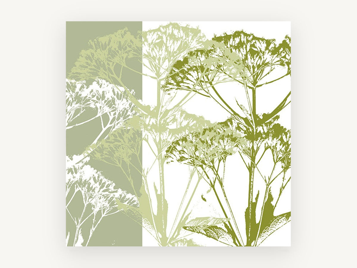 Green Umbel Silhouettes, floral canvas wall art print, front view
