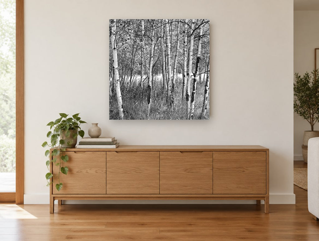 Birch Grove Light landscape canvas print on the wall of a living room above a sideboard