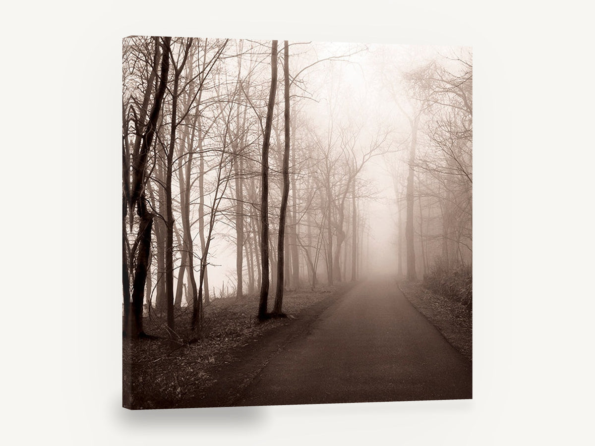 Sepia Fog Lane, foggy forest road sepia photograph, landscape canvas wall art print ready to hang
