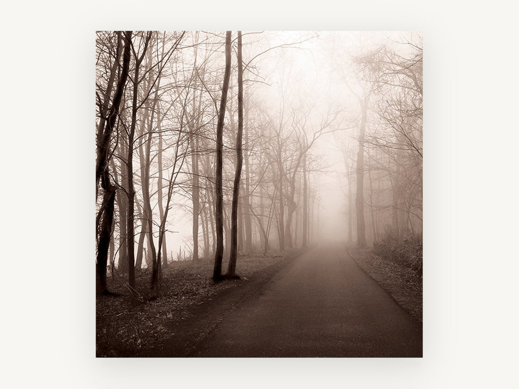 Sepia Fog Lane, foggy forest road sepia photograph, landscape canvas wall art print, front view