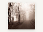 Sepia Fog Lane, foggy forest road sepia photograph, landscape canvas wall art print, front view