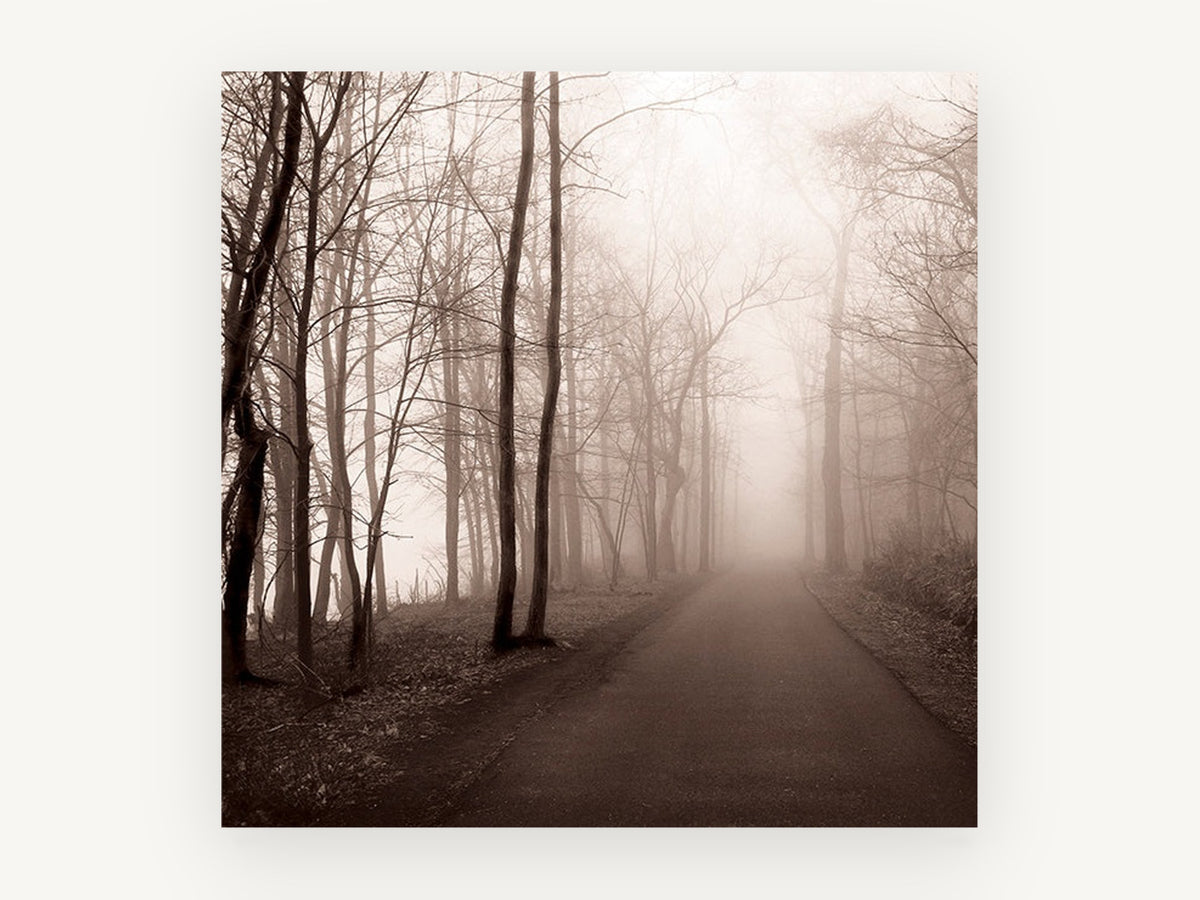 Sepia Fog Lane, foggy forest road sepia photograph, landscape canvas wall art print, front view