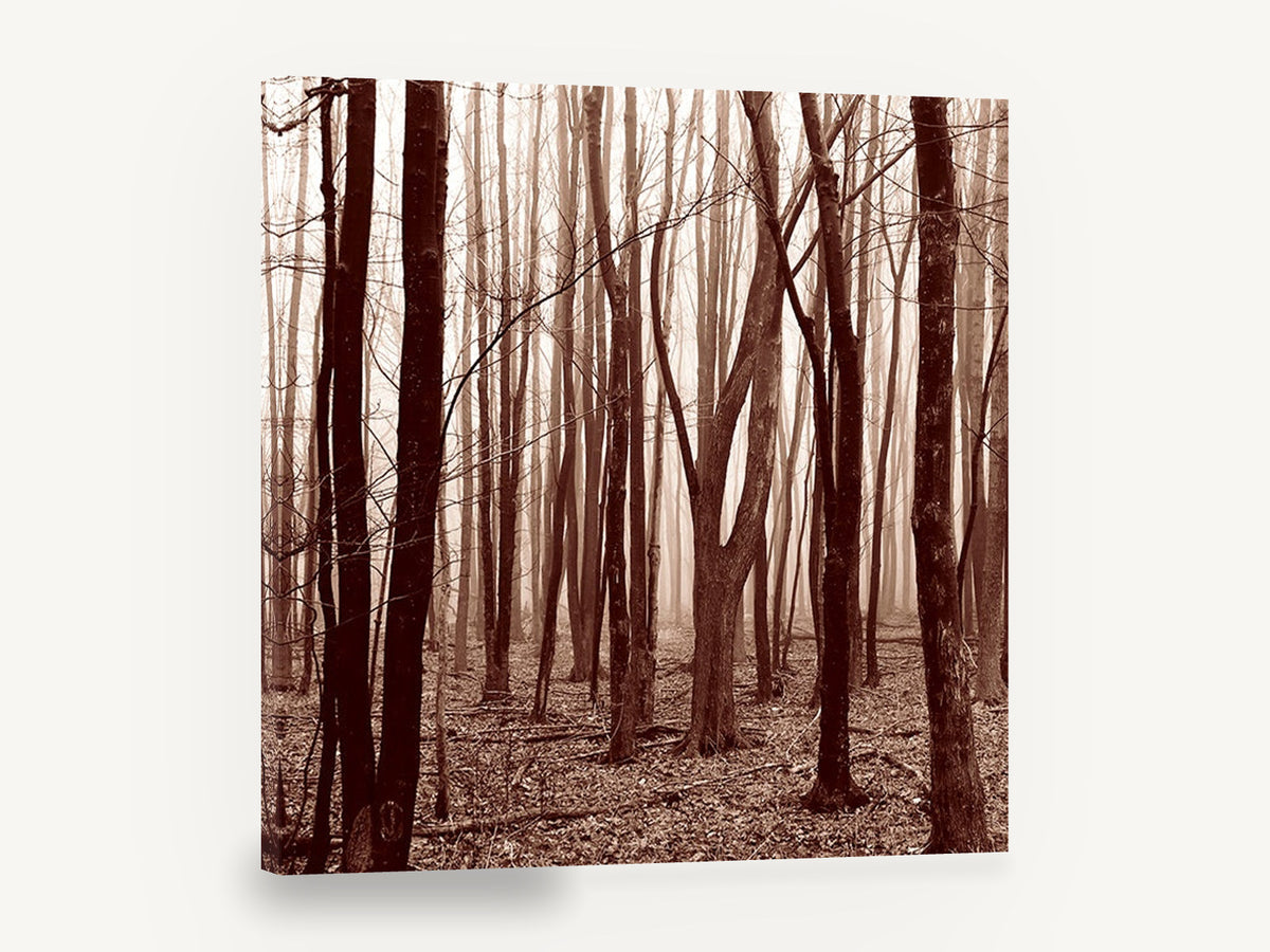 Sepia Wood Haze, misty bare forest sepia photograph, landscape canvas wall art print ready to hang