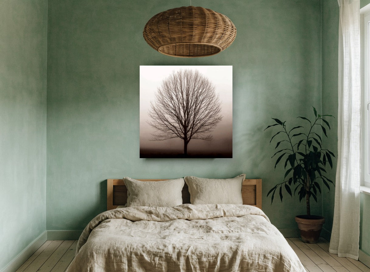 Bare Tree in Fog landscape canvas print on the wall of a bedroom