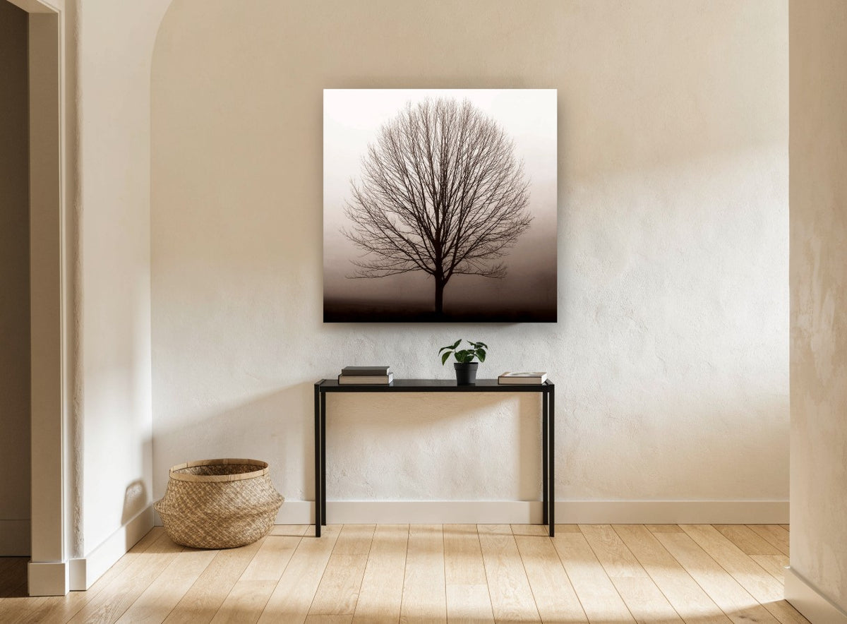 Bare Tree in Fog landscape canvas print on the wall of a hallway