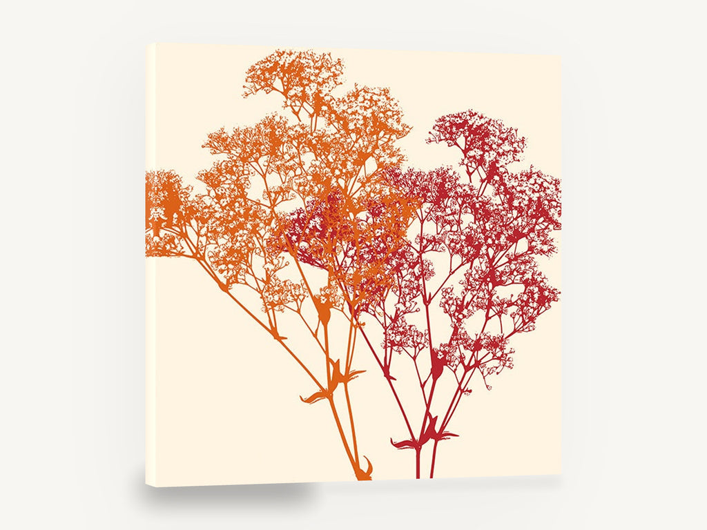 Orange and Red Gypsophila, orange red botanical silhouette floral, floral canvas wall art print ready to hang