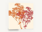 Orange and Red Gypsophila, orange red botanical silhouette floral, floral canvas wall art print ready to hang