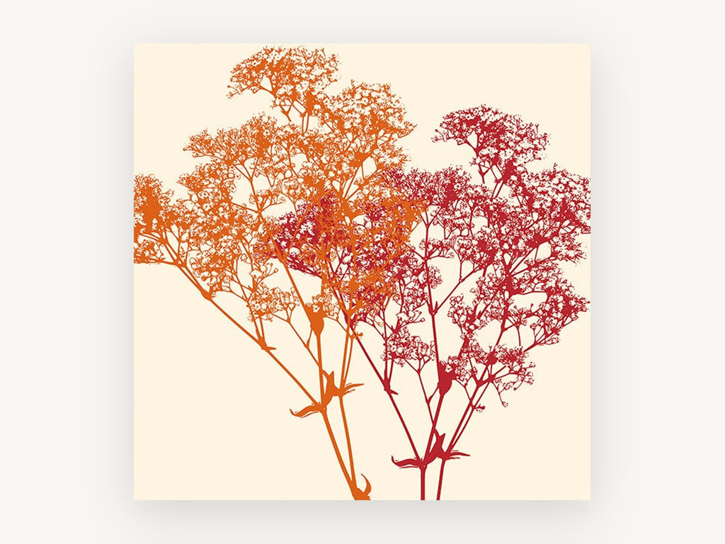 Orange and Red Gypsophila, floral canvas wall art print, front view