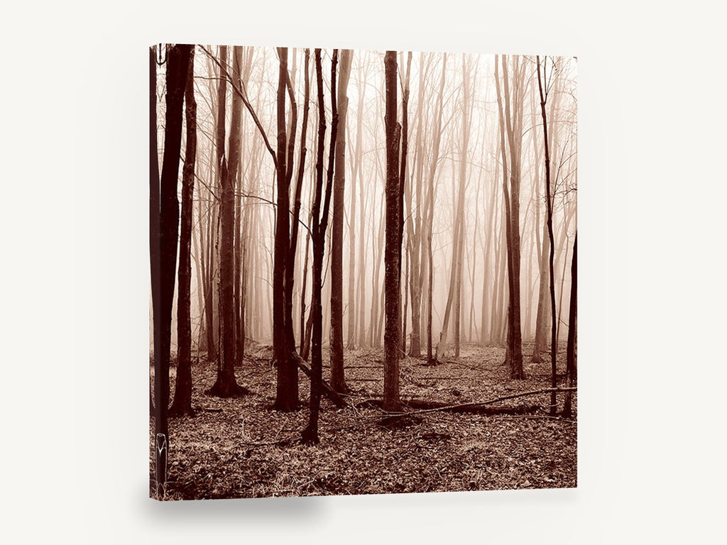 Sepia Winter Woods, misty bare forest sepia photograph, landscape canvas wall art print ready to hang