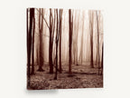 Sepia Winter Woods, misty bare forest sepia photograph, landscape canvas wall art print ready to hang