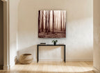 Sepia Winter Woods landscape canvas print on the wall of a hallway