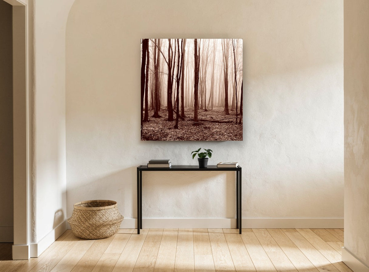 Sepia Winter Woods landscape canvas print on the wall of a hallway
