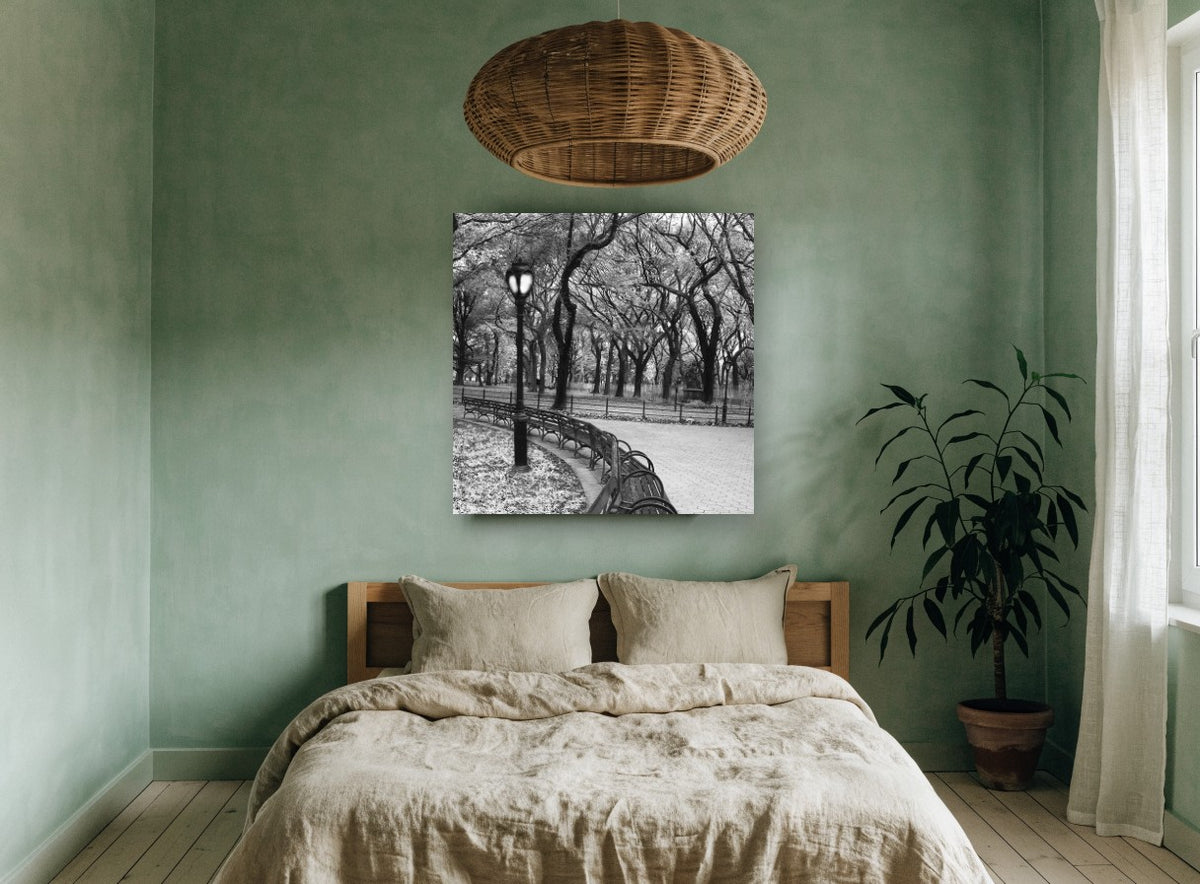 Park Bench Curve landscape canvas print on the wall of a bedroom