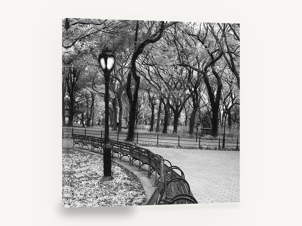 Park Bench Curve, black and white park bench photograph, landscape canvas wall art print ready to hang