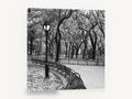 Park Bench Curve, black and white park bench photograph, landscape canvas wall art print ready to hang