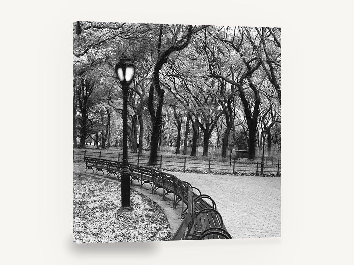 Park Bench Curve, black and white park bench photograph, landscape canvas wall art print ready to hang