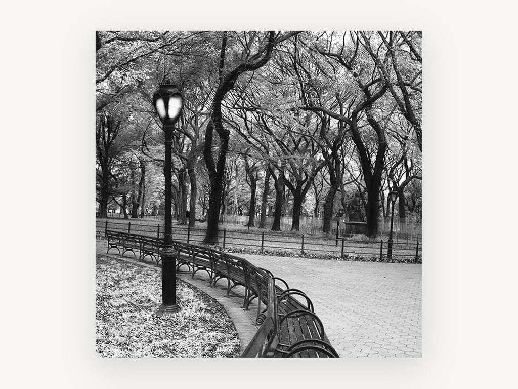 Park Bench Curve, black and white park bench photograph, landscape canvas wall art print, front view