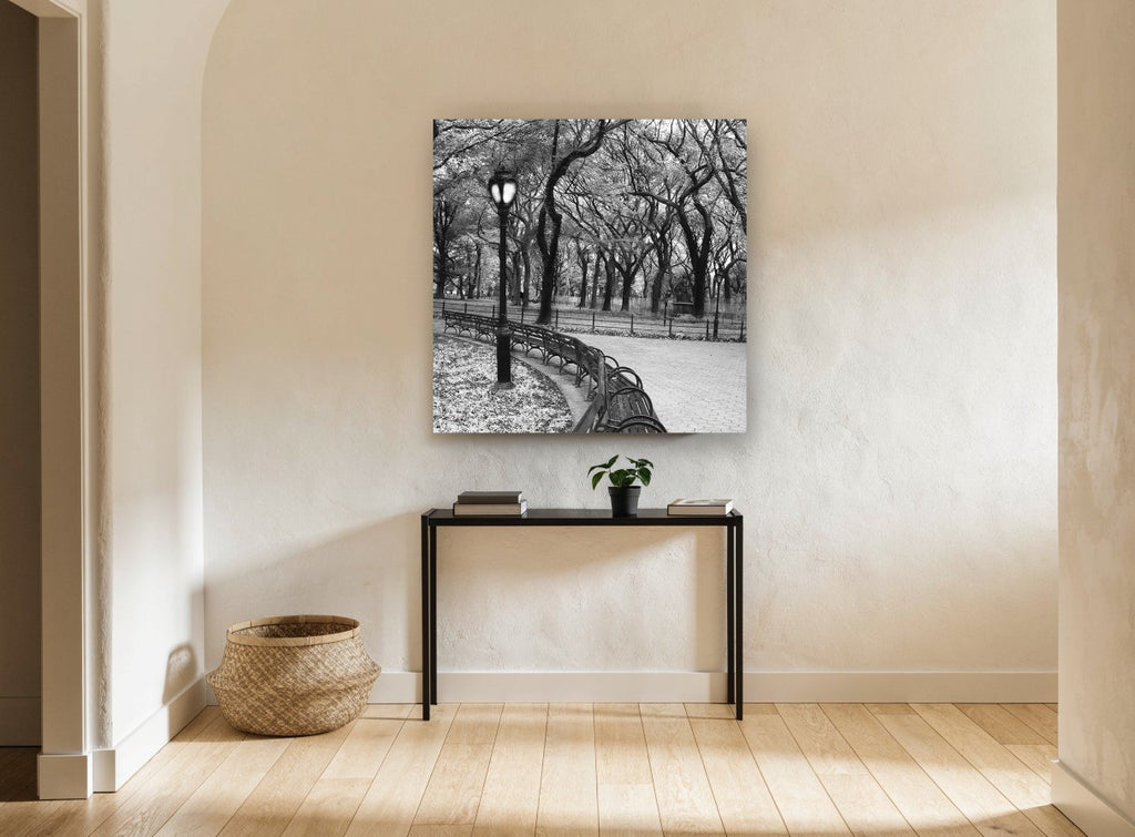 Park Bench Curve landscape canvas print on the wall of a hallway