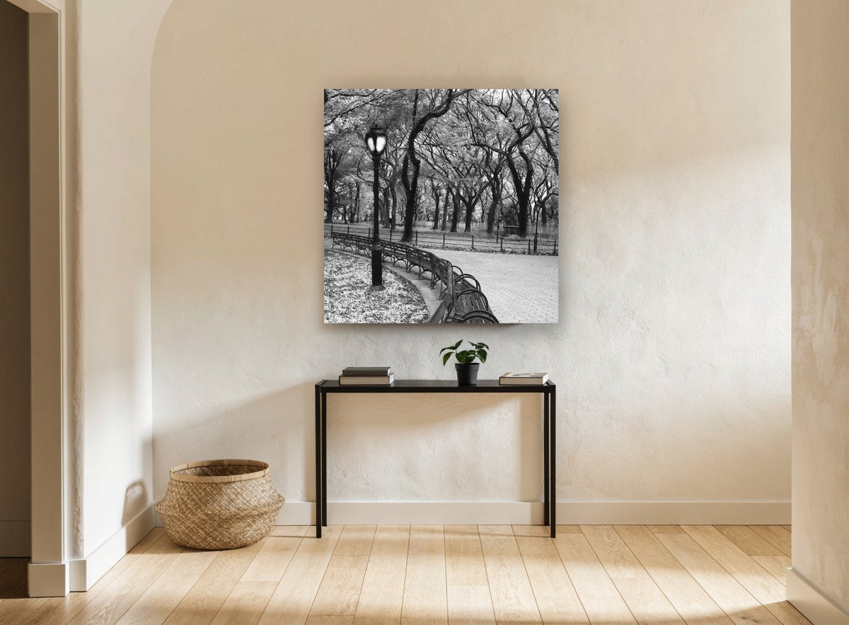 Park Bench Curve landscape canvas print on the wall of a hallway