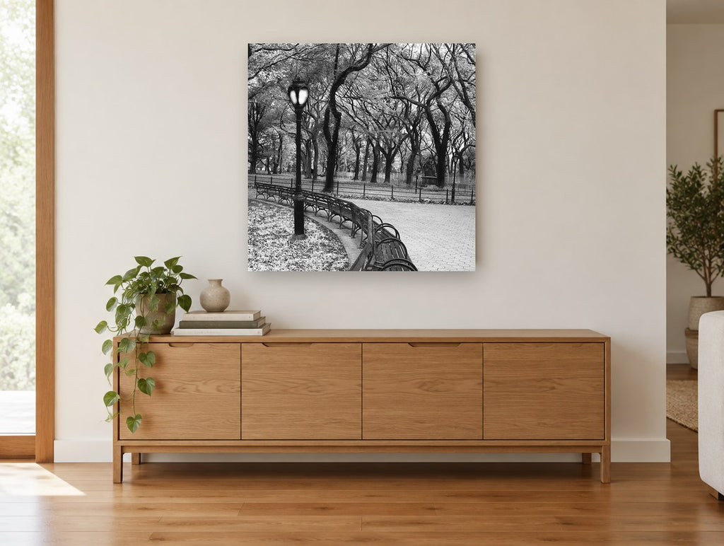 Park Bench Curve landscape canvas print on the wall of a living room above a sideboard