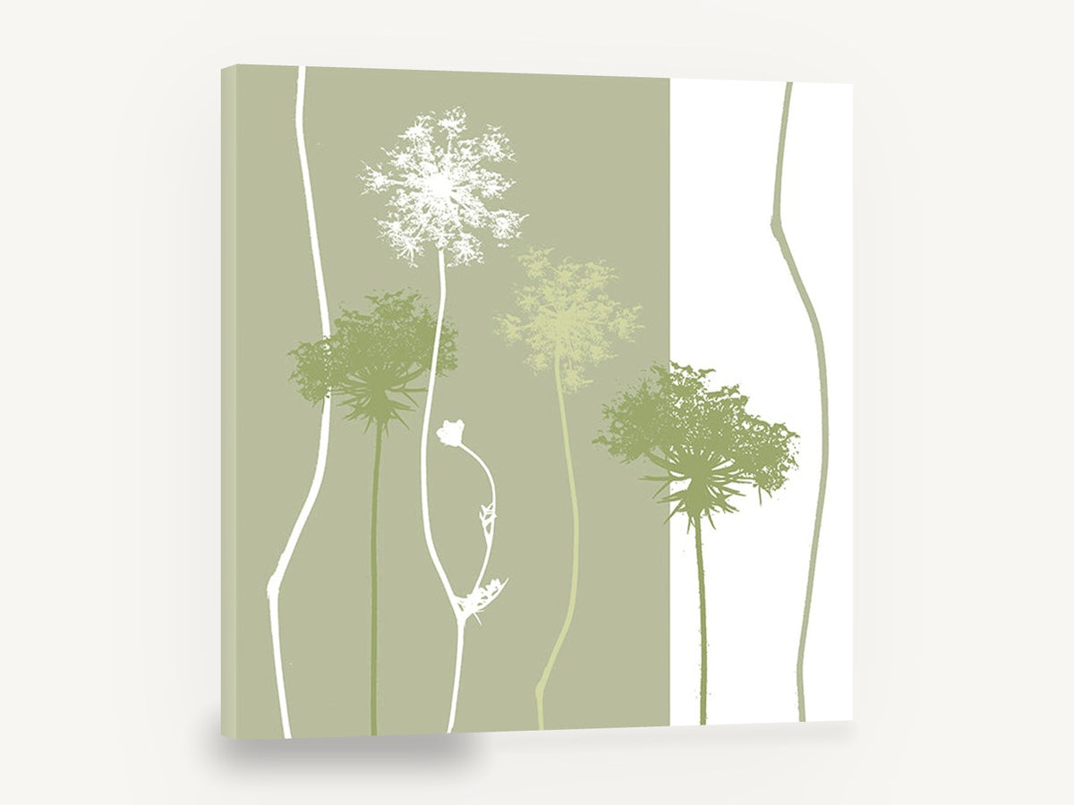 Sage Lace Silhouettes, queen anne's lace green silhouette botanical, floral canvas wall art print ready to hang