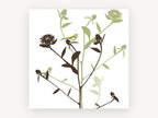 Songbird Among Thistles, floral canvas wall art print, front view
