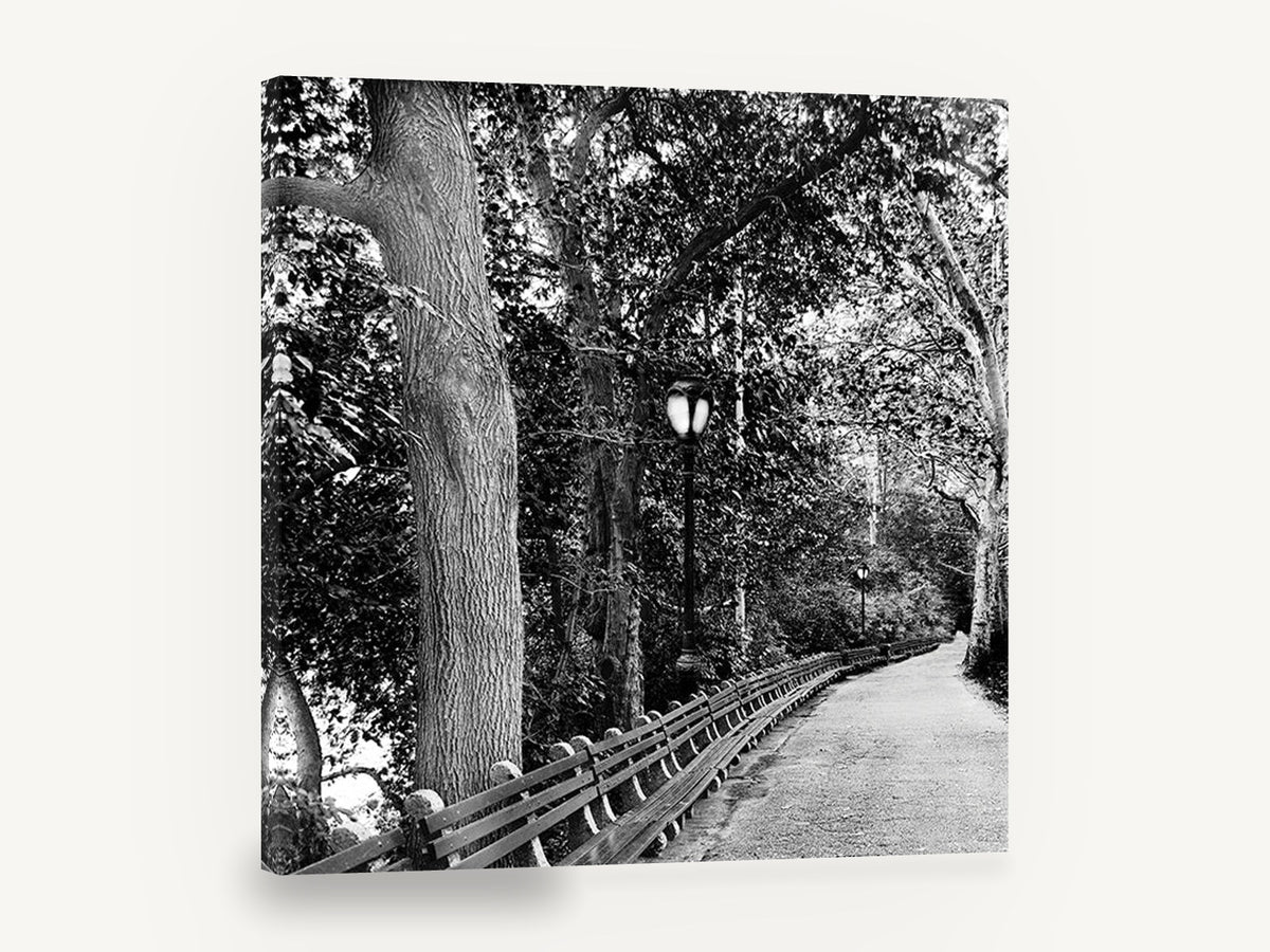 Lamplit Park Path, black and white park path photograph, landscape canvas wall art print ready to hang