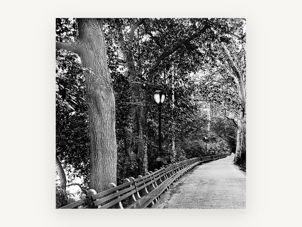 Lamplit Park Path, black and white park path photograph, landscape canvas wall art print, front view