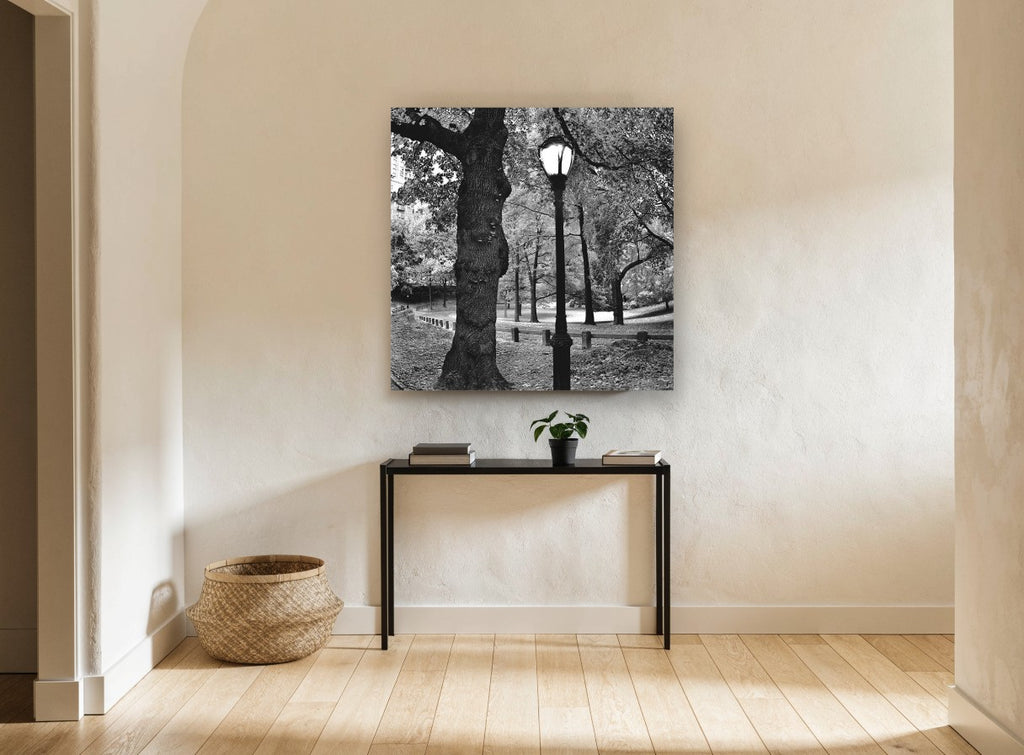 Gnarled Oak Park Lamppost landscape canvas print on the wall of a hallway