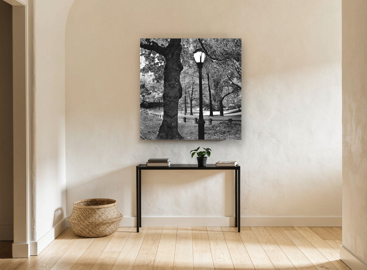 Gnarled Oak Park Lamppost landscape canvas print on the wall of a hallway