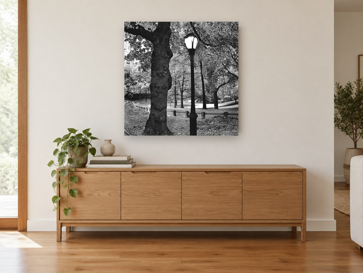 Gnarled Oak Park Lamppost landscape canvas print on the wall of a living room above a sideboard