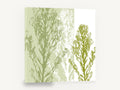 Three Green Stems, green botanical silhouette stems, floral canvas wall art print ready to hang