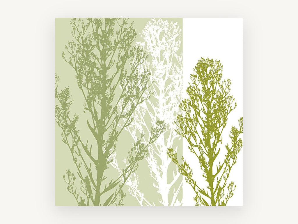 Three Green Stems, floral canvas wall art print, front view