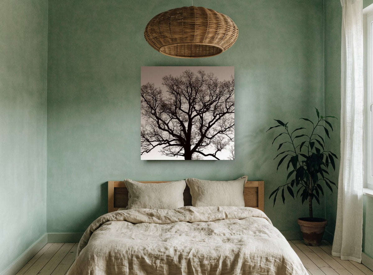 Bare Oak Silhouette landscape canvas print on the wall of a bedroom