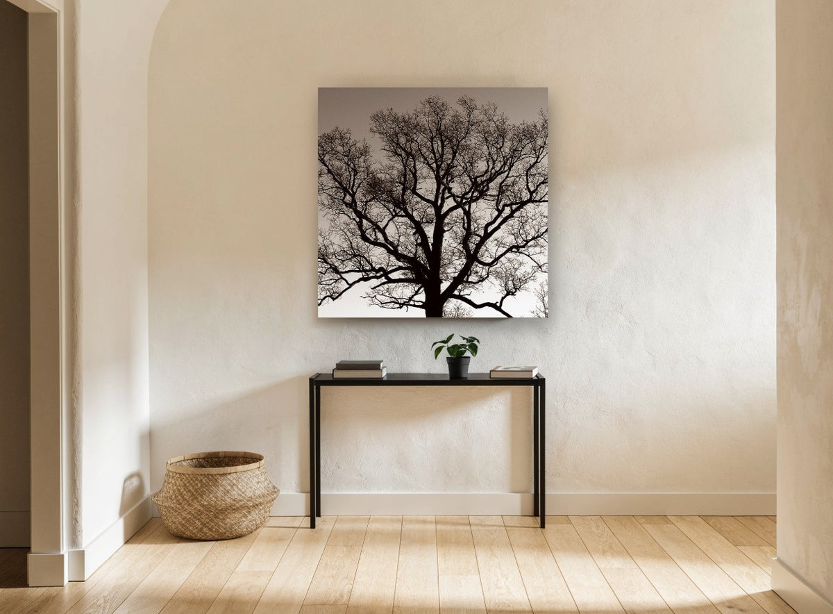 Bare Oak Silhouette landscape canvas print on the wall of a hallway