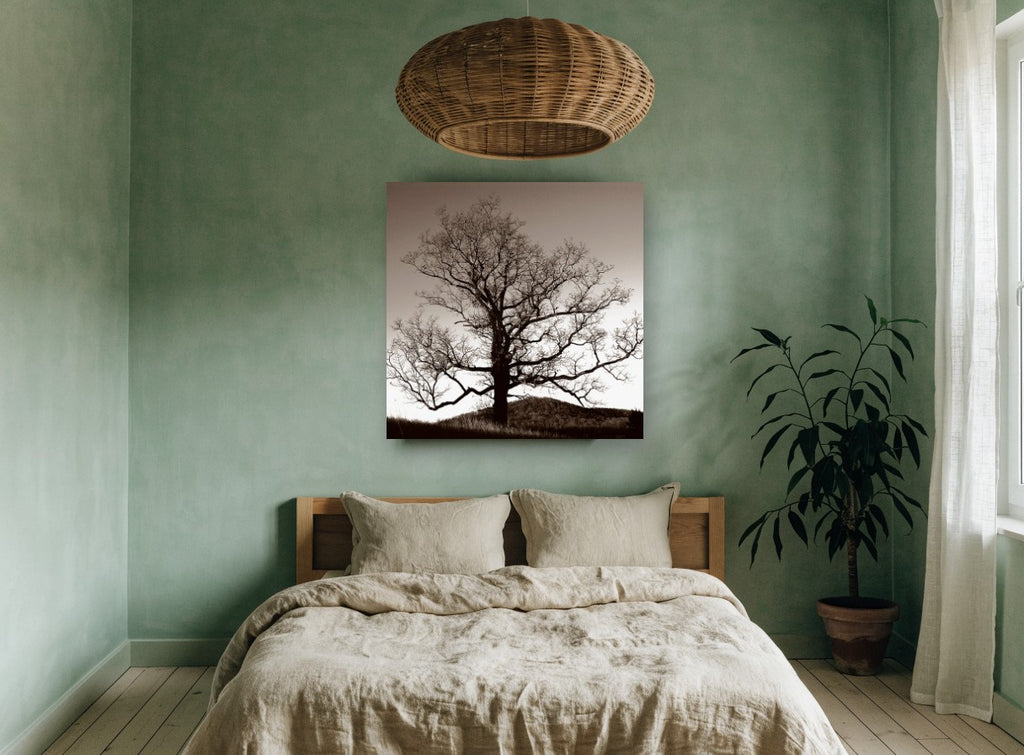 Bare Oak at Dusk landscape canvas print on the wall of a bedroom