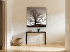 Bare Oak at Dusk landscape canvas print on the wall of a hallway