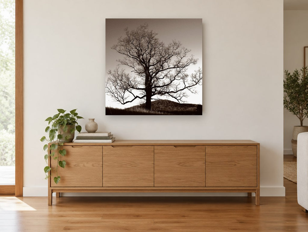 Bare Oak at Dusk landscape canvas print on the wall of a living room above a sideboard