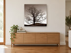 Bare Oak at Dusk landscape canvas print on the wall of a living room above a sideboard