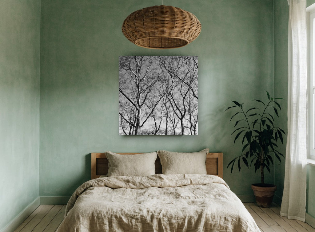 Bare Plane Canopy landscape canvas print on the wall of a bedroom