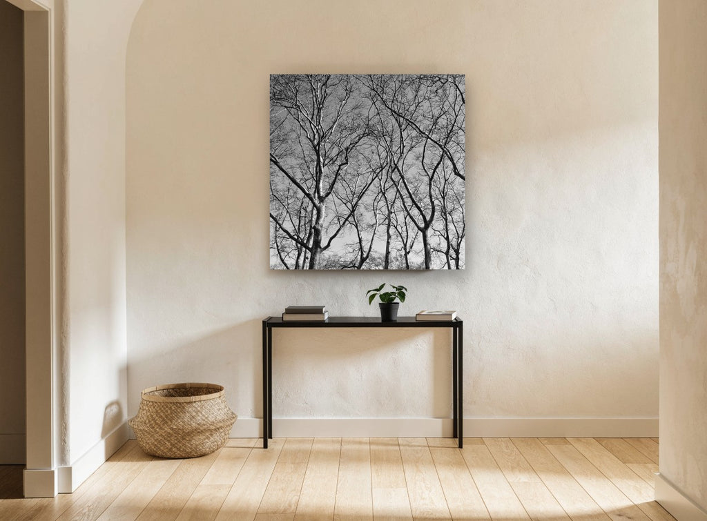 Bare Plane Canopy landscape canvas print on the wall of a hallway