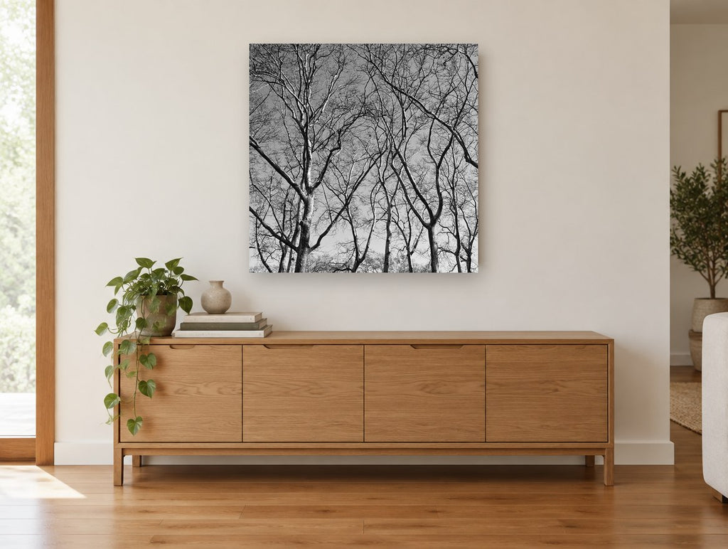Bare Plane Canopy landscape canvas print on the wall of a living room above a sideboard