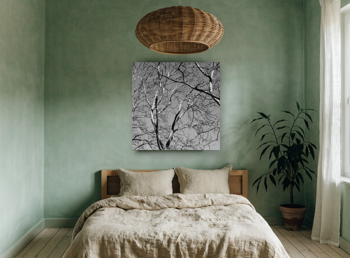 Bare Branch Canopy landscape canvas print on the wall of a bedroom
