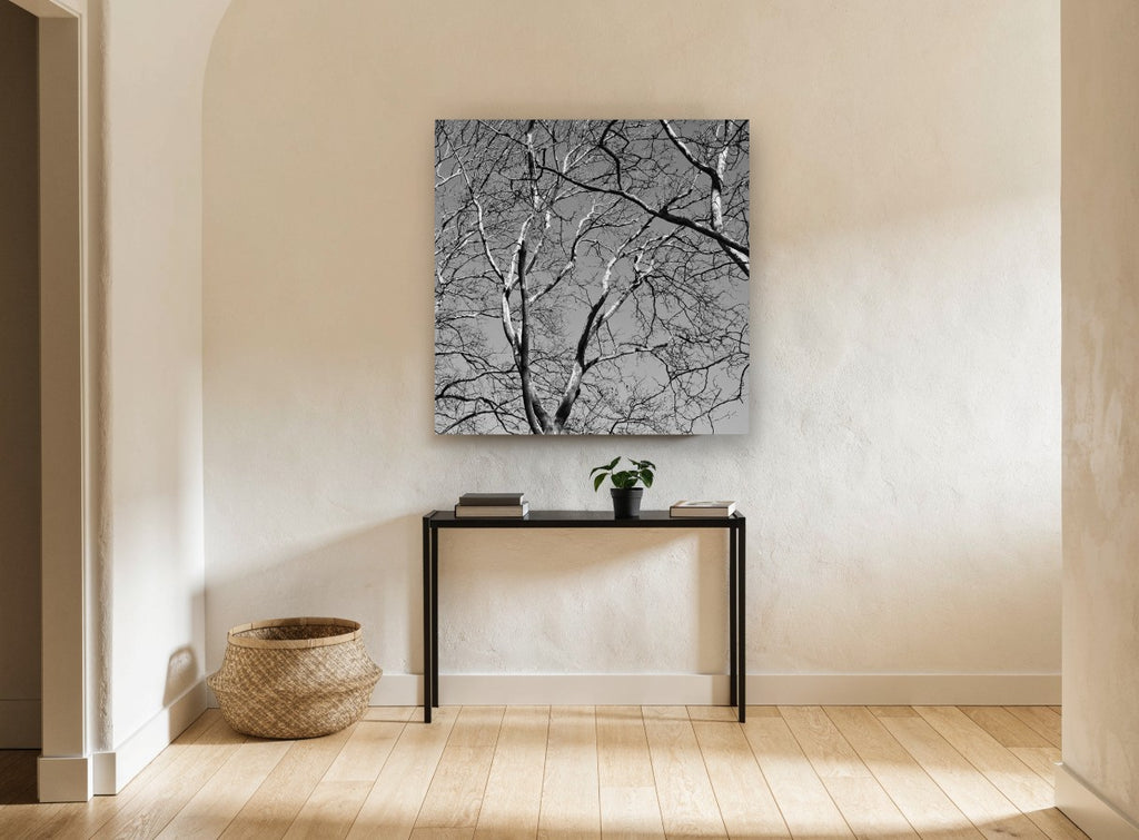Bare Branch Canopy landscape canvas print on the wall of a hallway