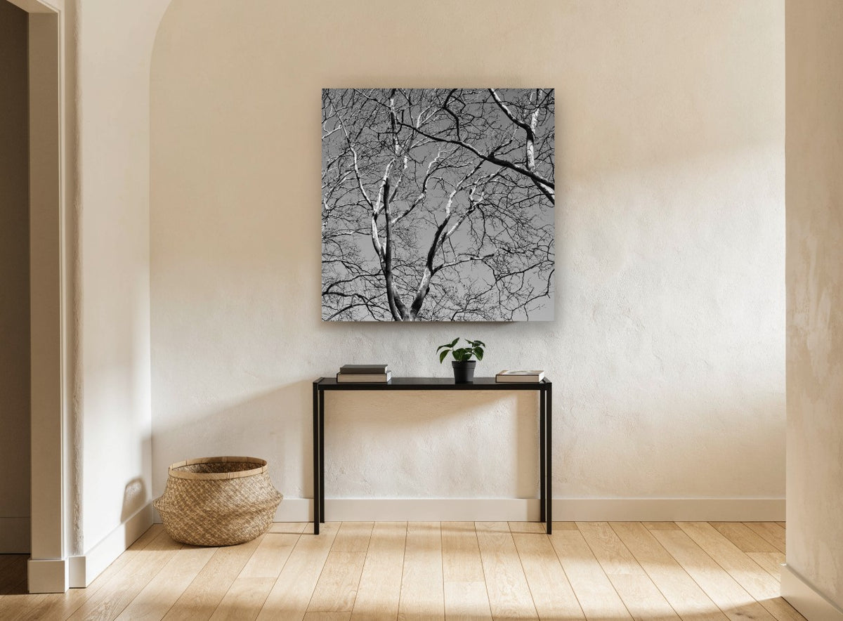 Bare Branch Canopy landscape canvas print on the wall of a hallway