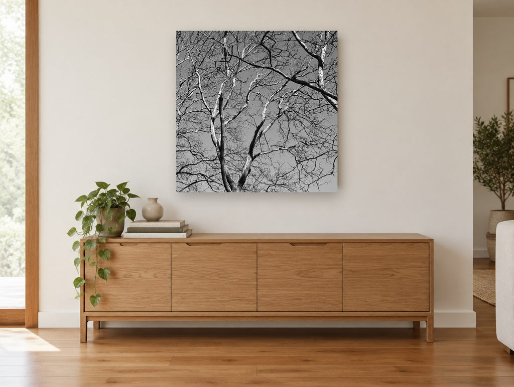 Bare Branch Canopy landscape canvas print on the wall of a living room above a sideboard
