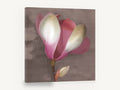Blushing Magnolia Bloom, pink magnolia flower botanical photograph, floral canvas wall art print ready to hang
