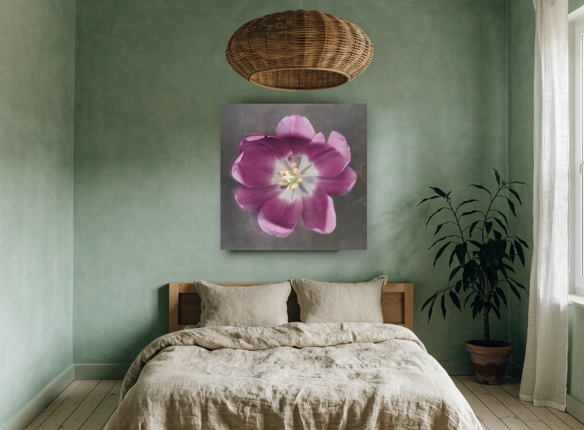 Open Plum Tulip floral canvas print on the wall of a bedroom