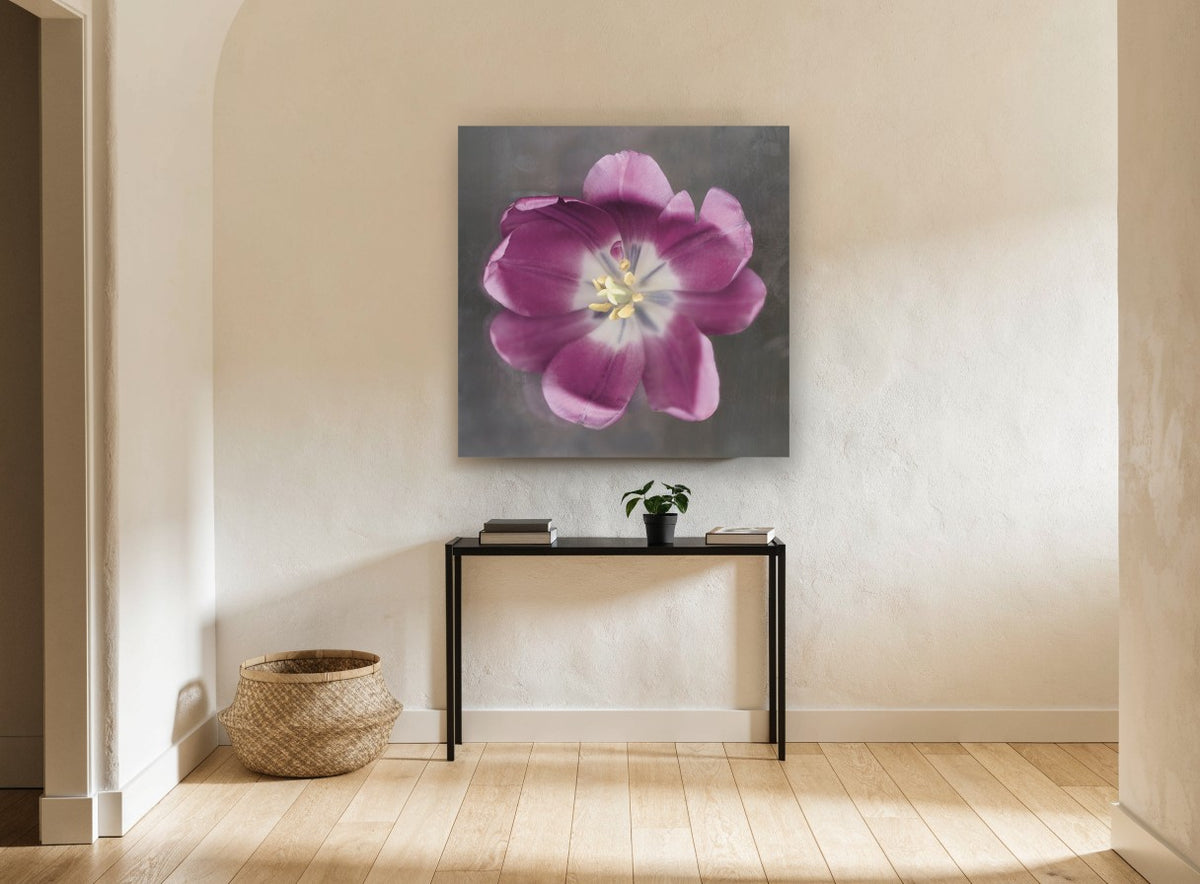 Open Plum Tulip floral canvas print on the wall of a hallway